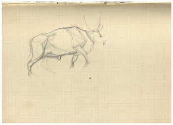 Visualizza l'immagine "FD Album 3, 13 v."